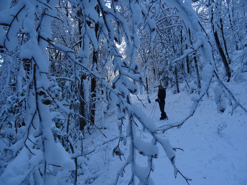 prime escursioni sulla neve....autunno  2019